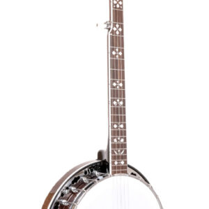 GOLD TONE BG-150F Vijfsnarige bluegrass-banjo met hoes