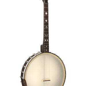 GOLD TONE IT-17 Ierse tenorbanjo met 12" pot en hoes