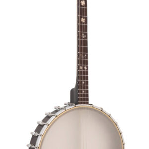 GOLD TONE IT-19 Ierse tenorbanjo met 19 frets, inclusief koffer
