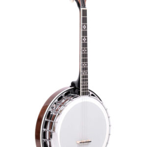 GOLD TONE IT-250F Ierse tenorbanjo met flange, inclusief koffer