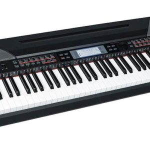 Medeli Performer Series SP4200/BK digital stage piano with accompaniment
